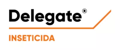 Delegate